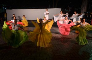 Portuguesa  unida a la celebración del Año del Joropo Tradicional Venezolano en su Diversidad